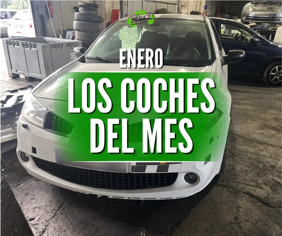 Despiece de Renault Mégane II en Mallorca | Coches del mes – Enero