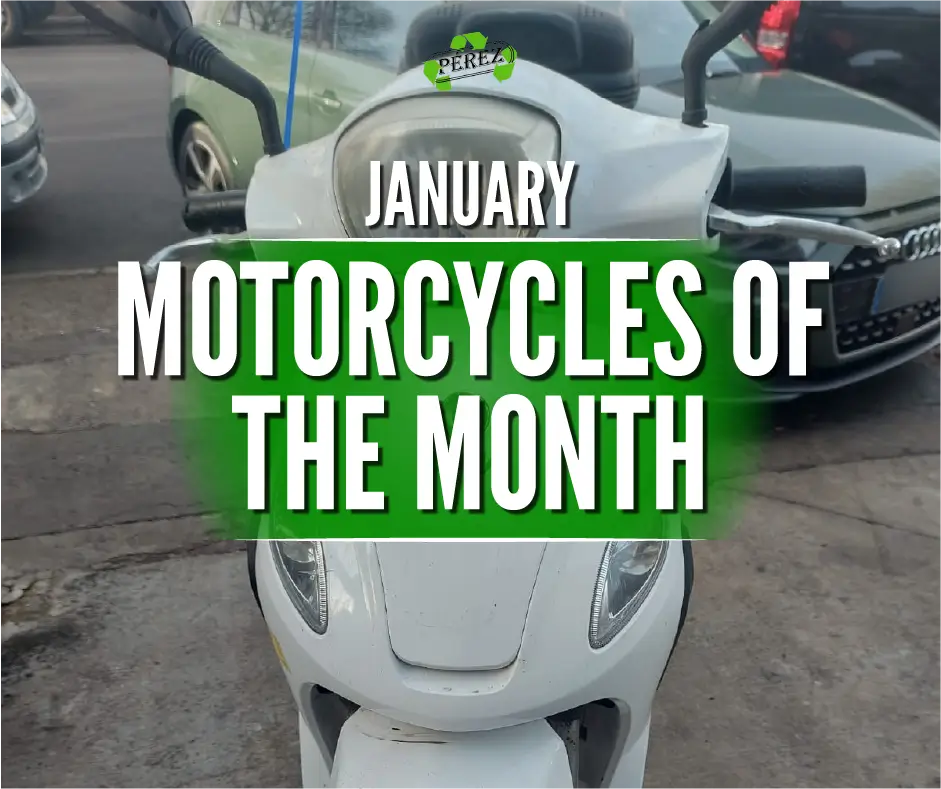 SYM 125 Dismantling in Mallorca: Motorcycles of the Month at Reciclajes y Metales Pérez