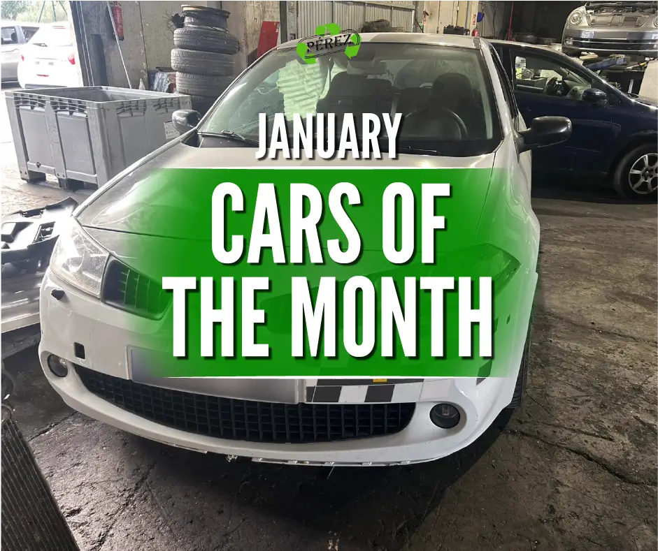 Renault Mégane II dismantling in Mallorca | Cars of the month – January